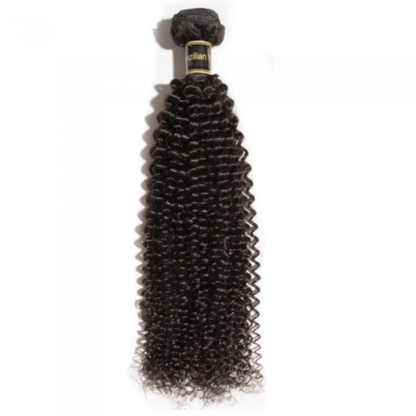 A bundle of 10-30 Inch Kinky Curly Virgin Brazilian Hair #1B Natural Black hair extensions displayed against a white background.