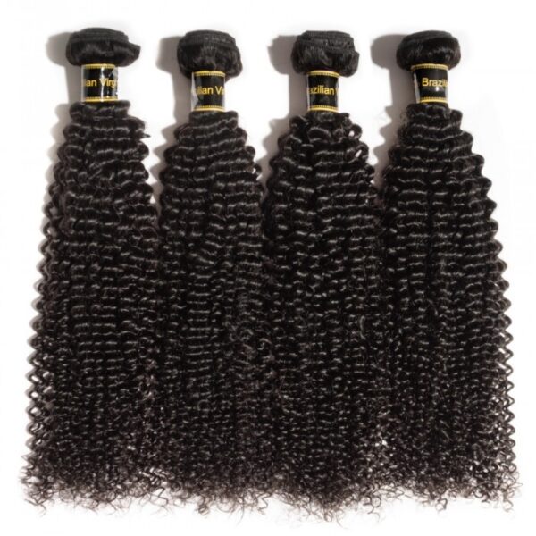 Four bundles of 10-30 Inch Kinky Curly Virgin Brazilian Hair #1B Natural Black displayed against a white background.